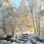 Location! Nature Lovers Getaway - Close To Historic Downtown