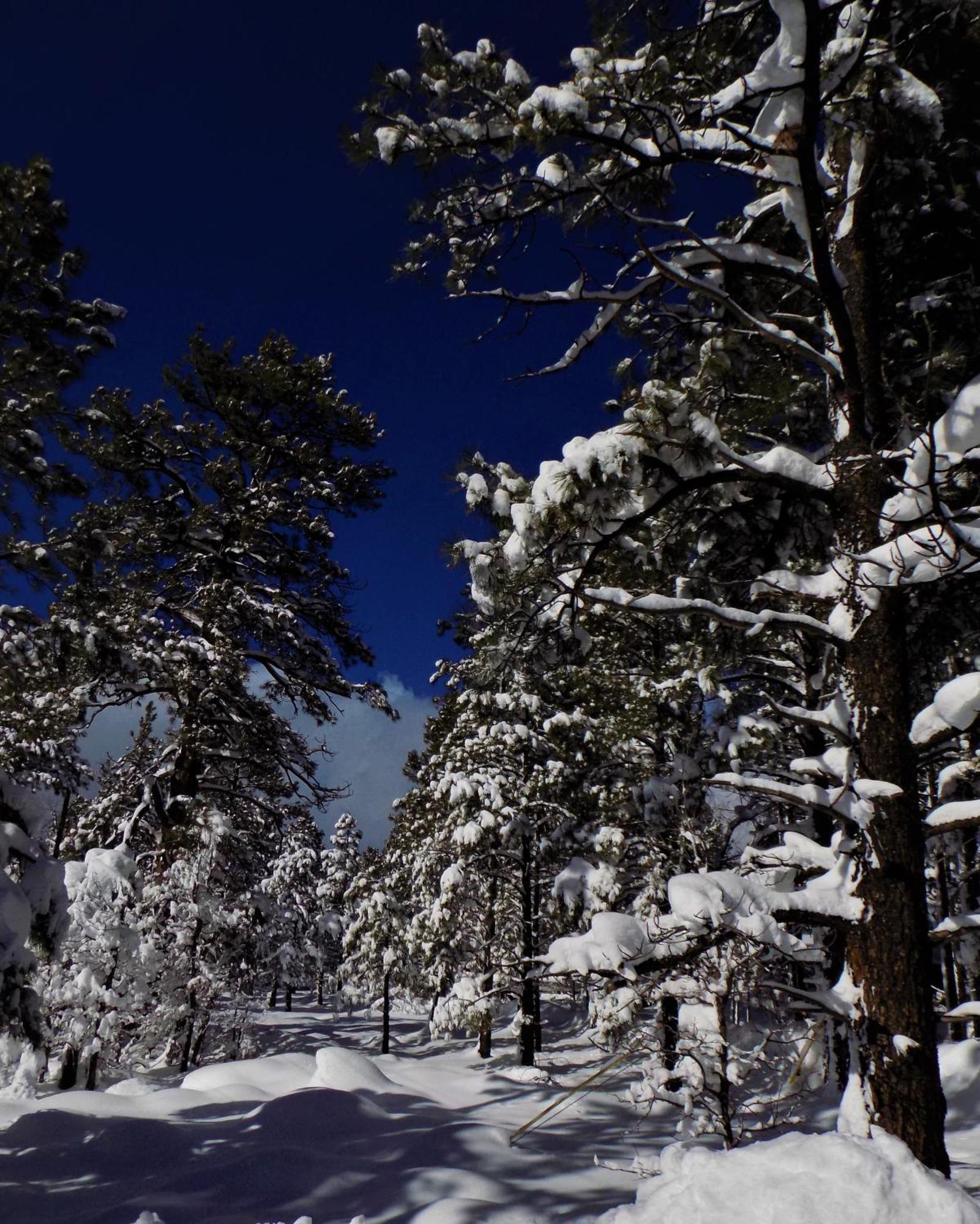 Hébergement de vacances Location! Nature Lovers Getaway - Close To Historic Downtown *