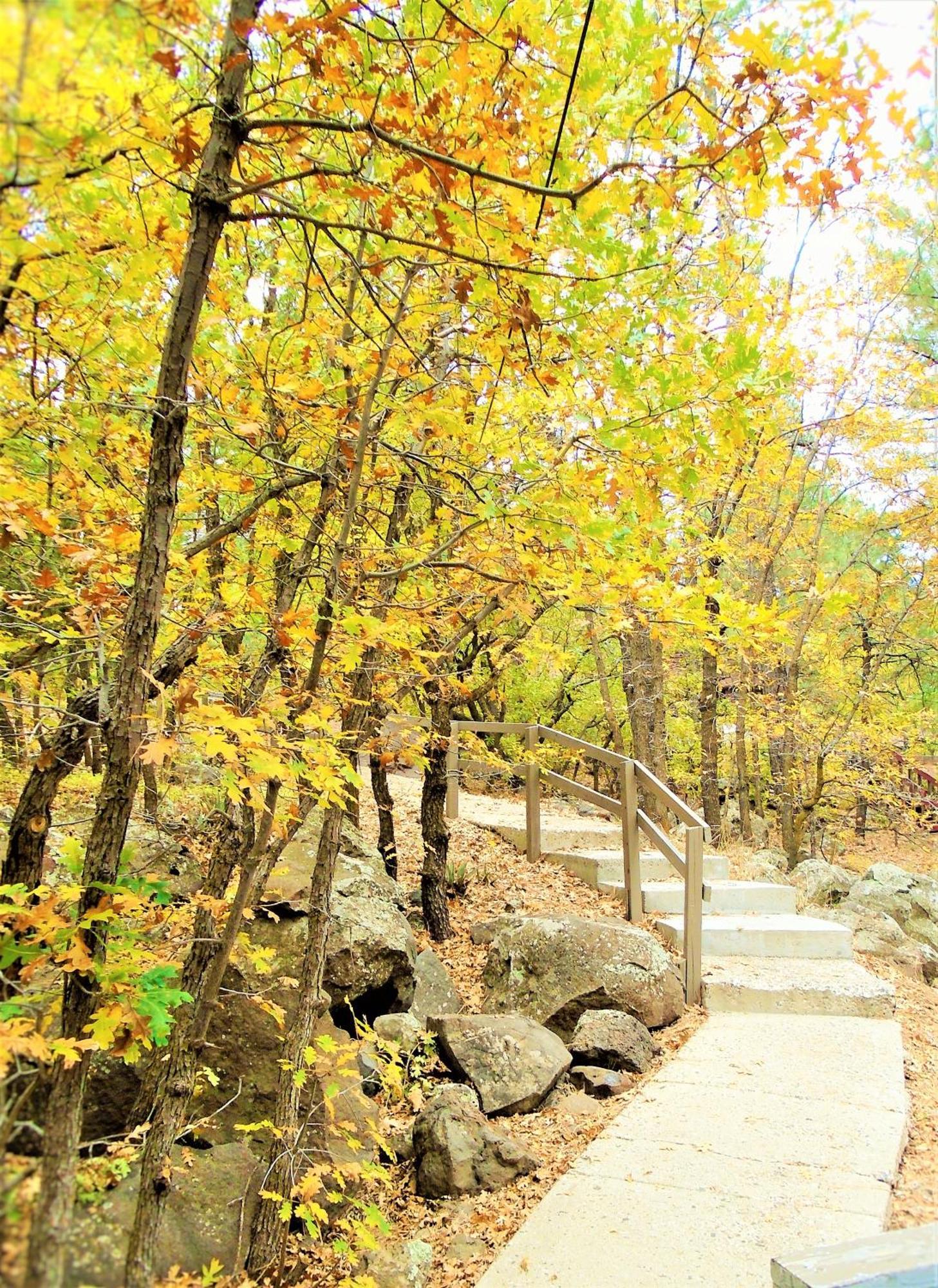 Location! Nature Lovers Getaway - Close To Historic Downtown Hébergement de vacances Flagstaff
